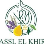 logo-asslalkhir3-1